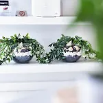 Dp Homes Beachside In Santorini